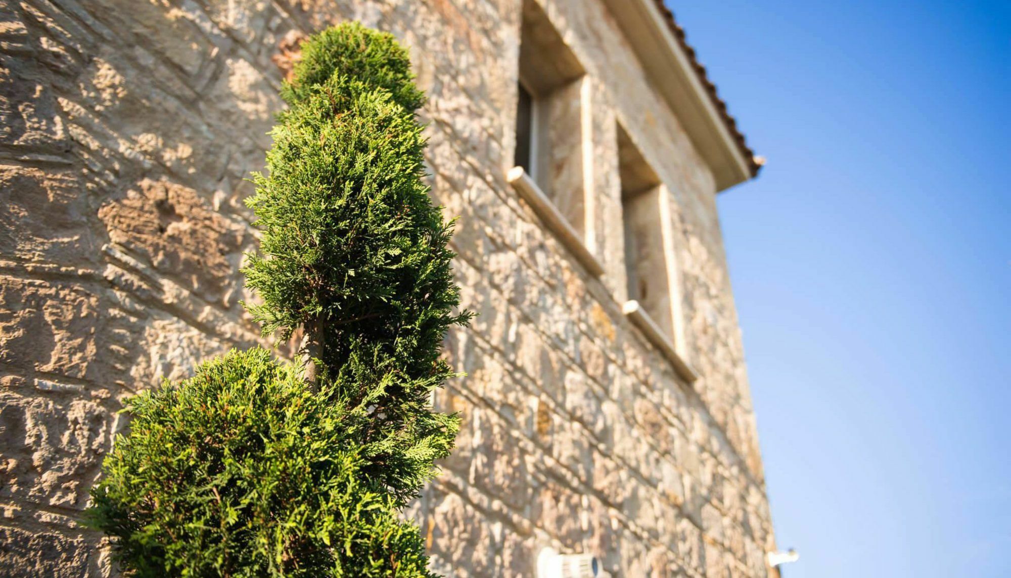 Villa Jaimi Peyia Dış mekan fotoğraf